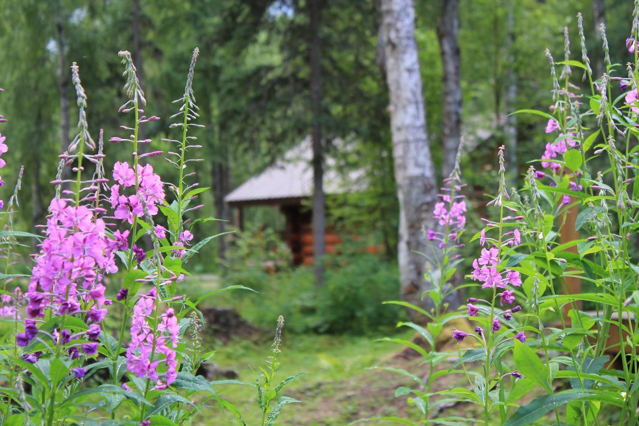 Meandering Moose Lodging Талкитна Екстериор снимка