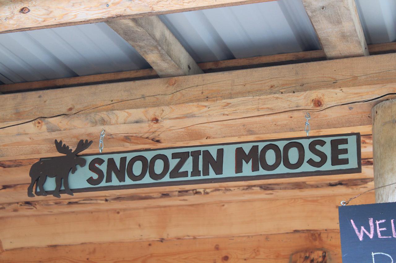 Meandering Moose Lodging Талкитна Екстериор снимка