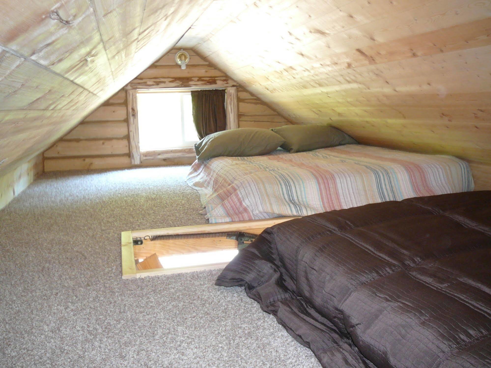 Meandering Moose Lodging Талкитна Екстериор снимка